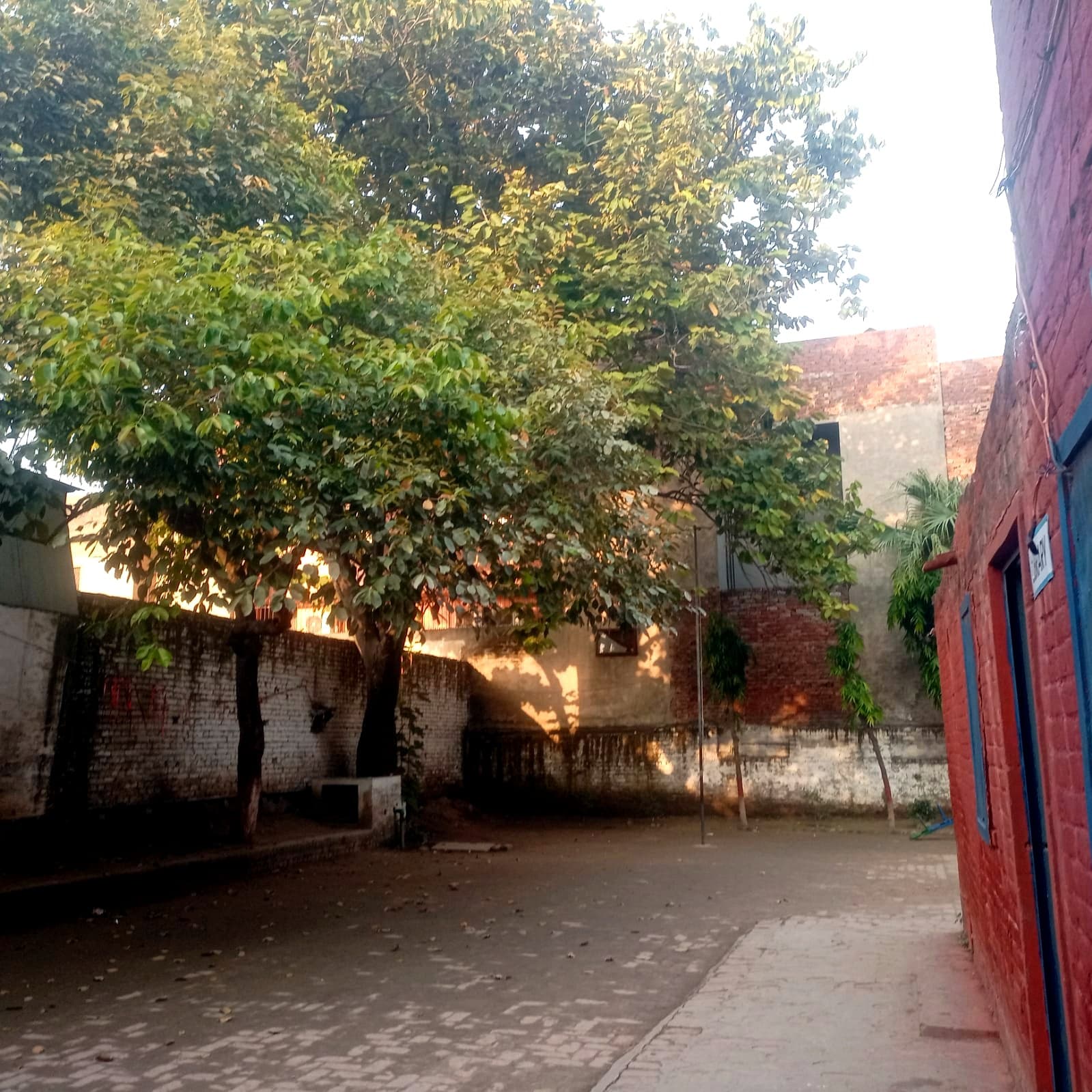 Library yard